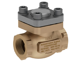 Cryogenic Check Valves