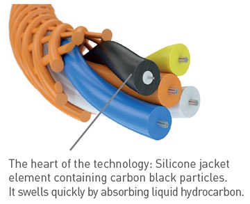 Oil & Gas Leak Detection Solutions