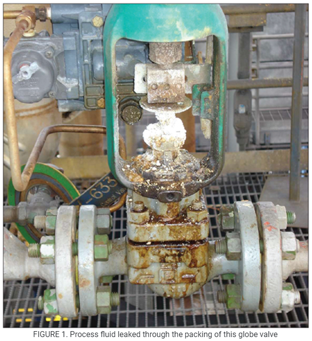 Seal Leakage in Control Valves